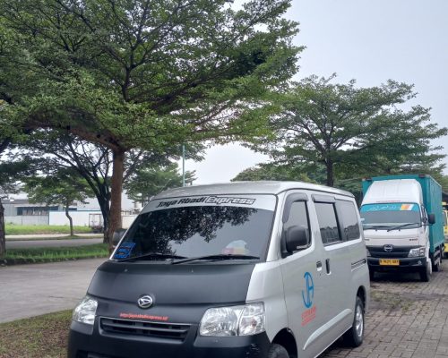 WhatsApp Image 2026-02-27 at 04.37.09